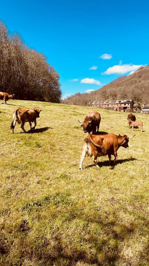 Mangata Villa Vega de Valcarce Esterno foto